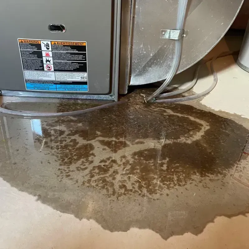 Appliance Leak Cleanup in West Modesto, CA